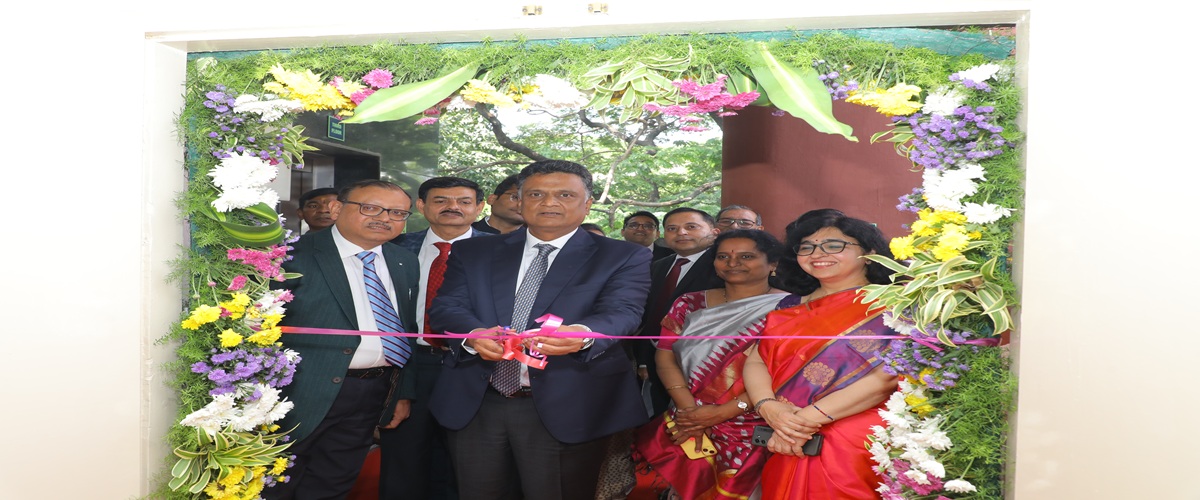 Auditors to the Nation